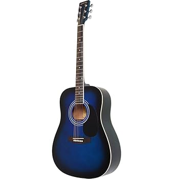 HONEY BEE ハニービー アコースティックギター W-15N HONEY BEE W-15/N Acoustic Guitar ハニービー アコースティック